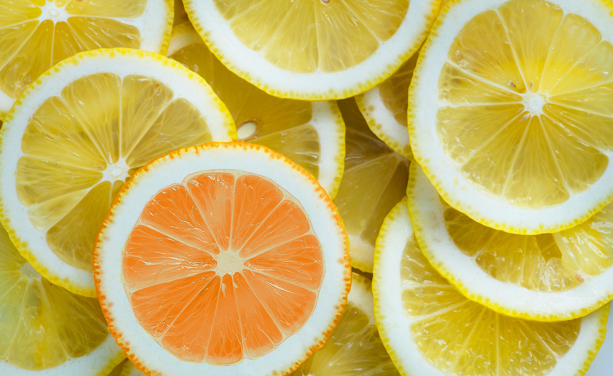Orange slice among lemon slices